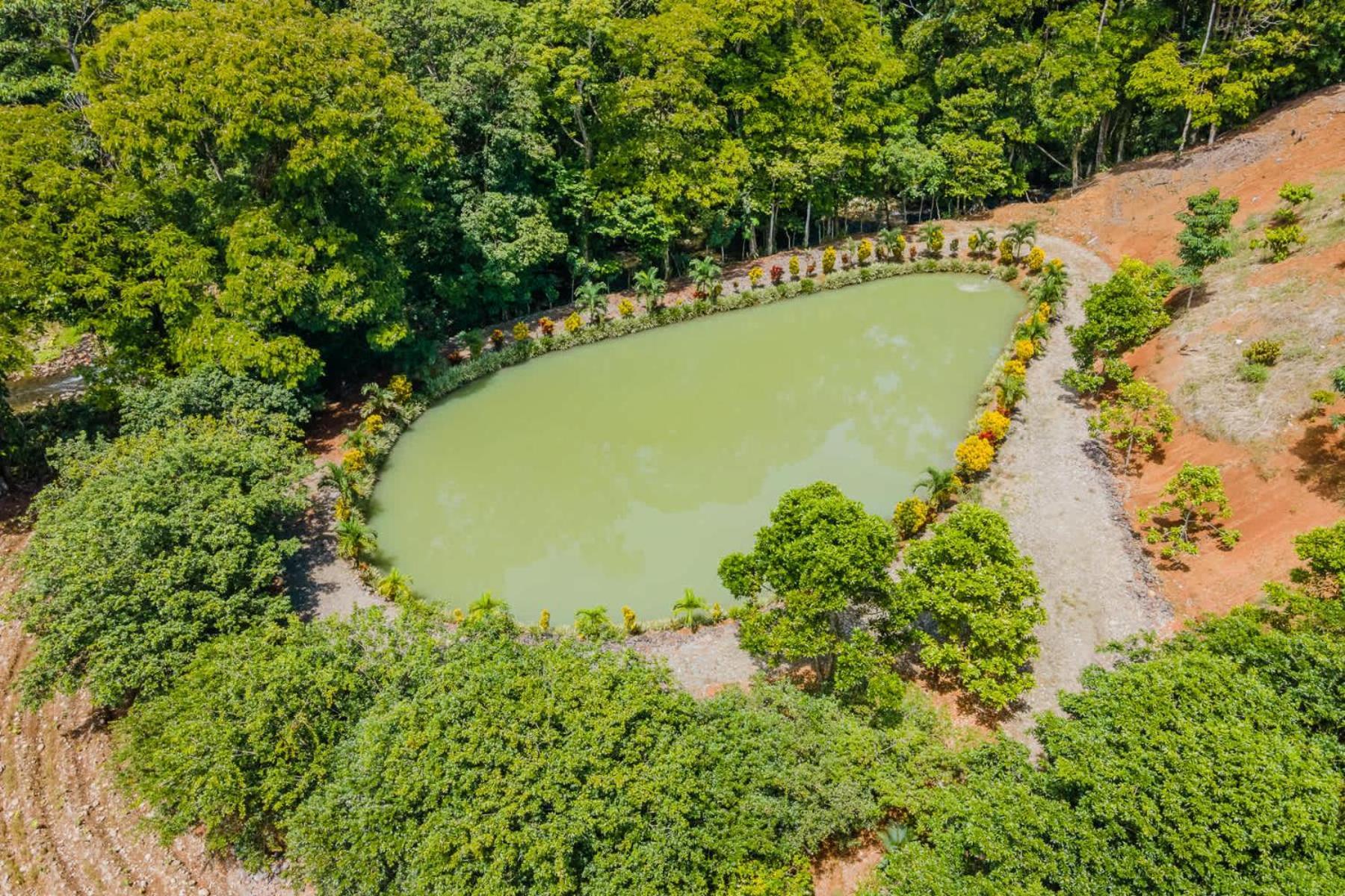 Nayari Sloth Farmstay Villa San Ramón Zewnętrze zdjęcie